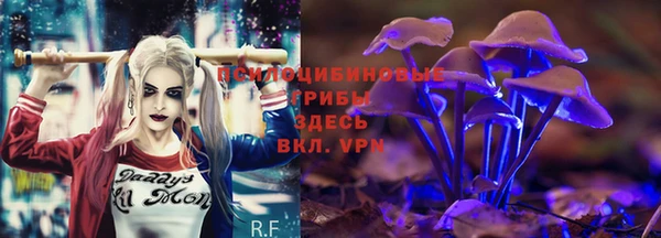 каннабис Алзамай