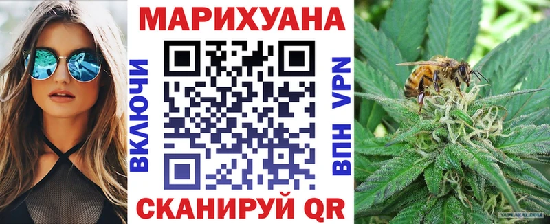 дарк нет телеграм  Тара  Бошки Шишки SATIVA & INDICA 